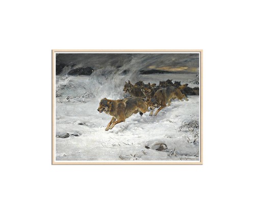 Wolf pack running alfred - wolf,