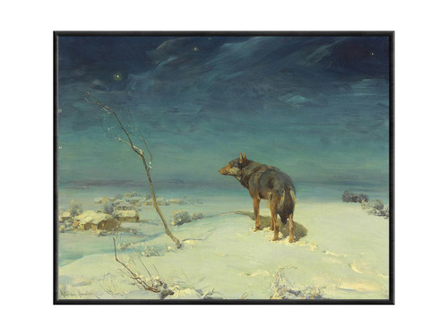 Lupo solitario alfred - solitario,
